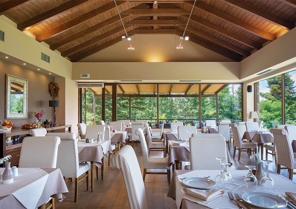 Orizontes Tzoumerkon Hotel Resort cafe