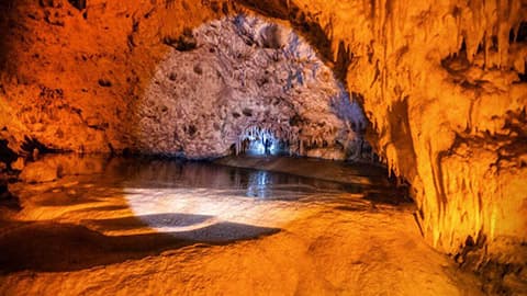 Anemotrypa Cave Sight 0